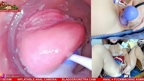 MaryBrook1 stripchat stream image