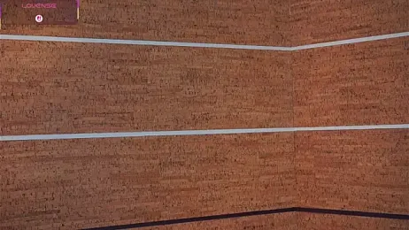 OnaZiroge stripchat stream image