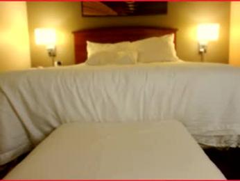 zina_sofia chaturbate stream image