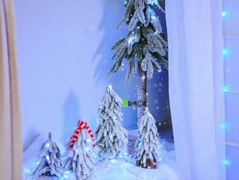 -ANN bongacams stream image