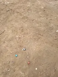 Outdoor_backup stripchat stream image, 29.12.2025 04:40