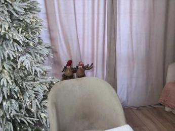 -Molly- bongacams stream image