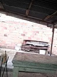 hoteder stripchat stream image