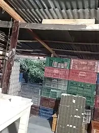 hoteder stripchat stream image