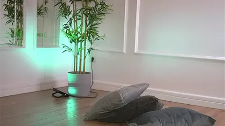 Cherrysweett stripchat stream image