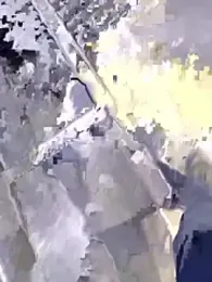 66Retro99 stripchat stream image