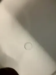 valeria2019hot stripchat stream image