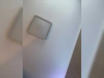 PALMIIRA bongacams stream image