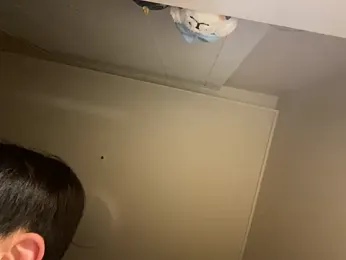 dvoi stripchat stream image, 29.01.2026 15:50