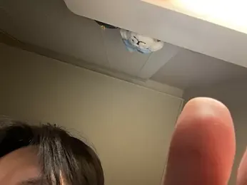dvoi stripchat stream image, 29.01.2026 15:50
