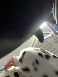 Milkyy_wway stripchat stream image