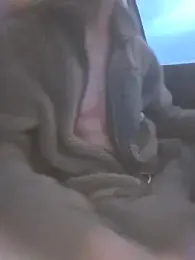 Zeefy stripchat stream image