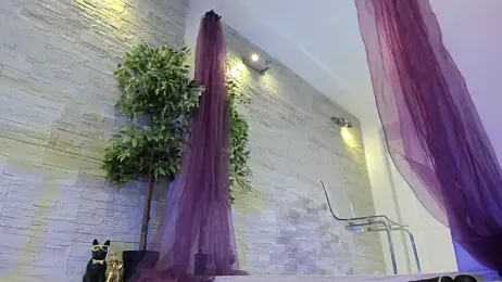 AngelInSinn stripchat stream image