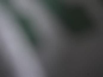 mariannacruzz chaturbate stream image