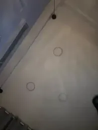 Sofia_Collins- stripchat stream image