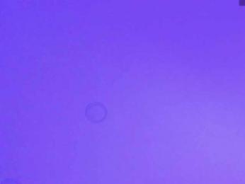 Gisell-Montoy bongacams stream image