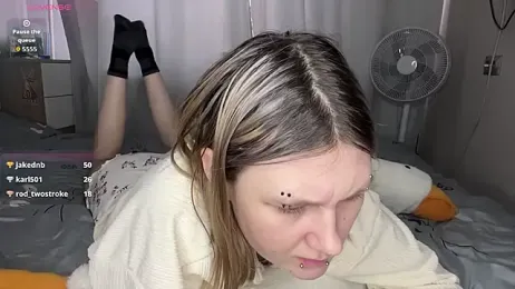 MoiraHavins stripchat stream image, 25.03.2026 06:00