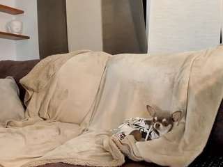 agustinasaenz camsoda stream image