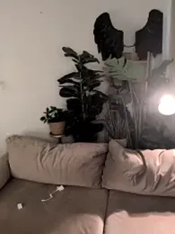 LaureMestler stripchat stream image