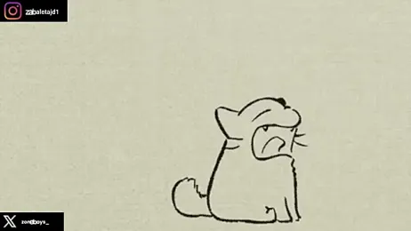 zoneboys stripchat stream image