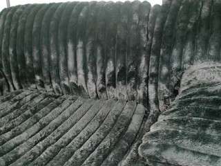 deayanicole1 camsoda stream image