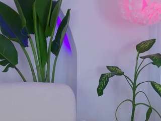 kali-hill camsoda stream image