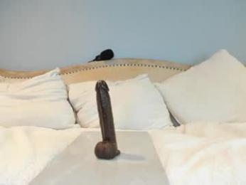 eatmygingersnapps chaturbate stream image