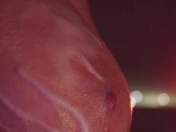 -Madi- bongacams stream image