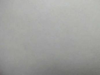 squikt bongacams stream image