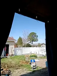 thickdaddy2982 stripchat stream image