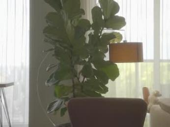 emma_lu1 chaturbate stream image