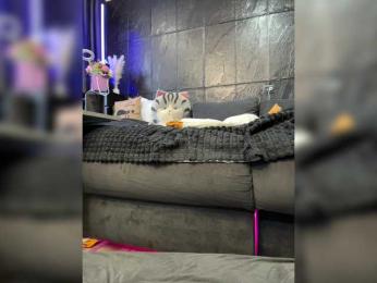 MagicMelody bongacams stream image