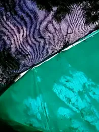 Zoe_Sweett18 stripchat stream image