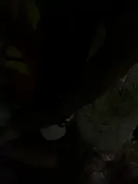 _Love_streets_ stripchat stream image, 20.03.2025 04:30