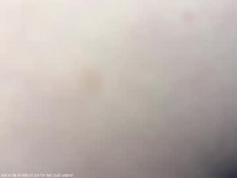 honey_sunshine chaturbate stream image