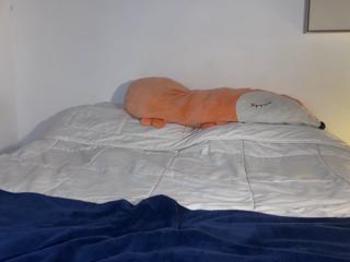 Alyssa Bonett flirt4free stream image