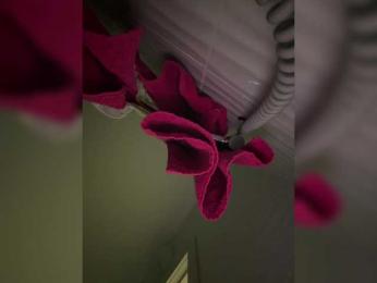 BabyDarii bongacams stream image