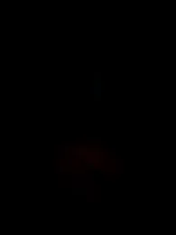 thickdaddy2982 stripchat stream image