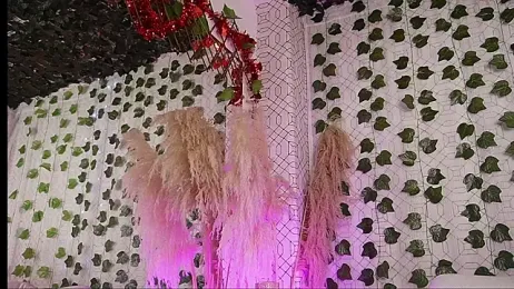 Amelia_LOV stripchat stream image