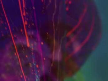 heybanan chaturbate stream image