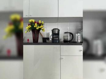 _NeferTiTi_ bongacams stream image