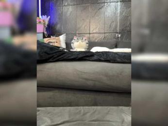 MagicMelody bongacams stream image