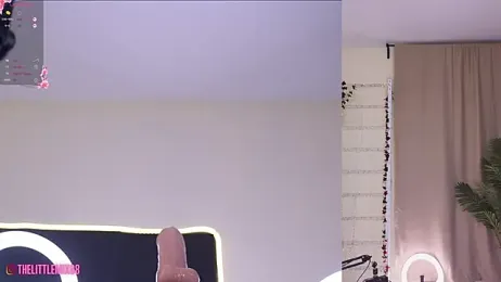 LittleMix_ stripchat stream image