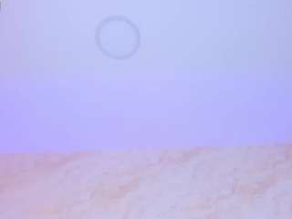 susan-jane camsoda stream image