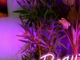 perfectt33n camsoda stream image