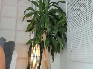 zhuyhong camsoda stream image