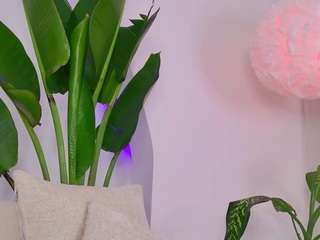 kali-hill camsoda stream image