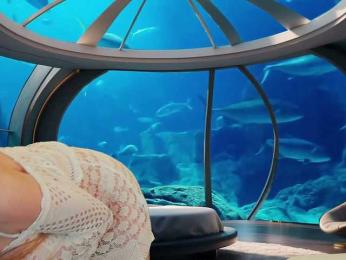 Louise_Dance bongacams stream image