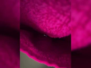 BabyDarii bongacams stream image