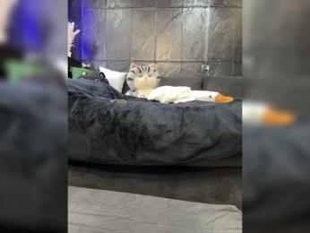 MagicMelody bongacams stream image